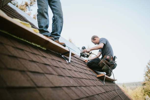 Best Chimney Flashing Repair  in USA